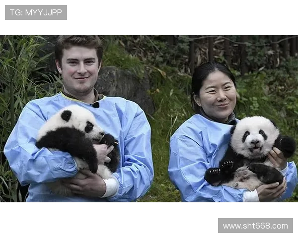 ✅体育直播🏆世界杯直播🏀NBA直播⚽- 旅比大熊猫幼仔“天宝”“宝弟”“宝妹”将于年内接返回国- sports